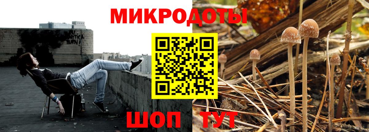Галлюциногенные грибы Cubensis Дубна