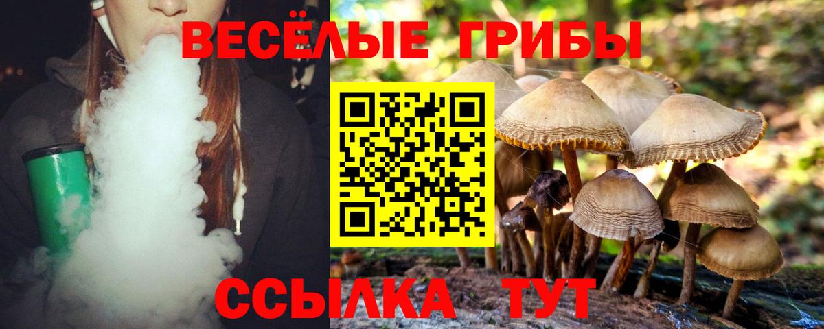 Дубна  магазин  наркотиков  Вход с VPN  Галлюциногенные грибы GOLDEN TEACHER 